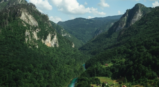Tara river